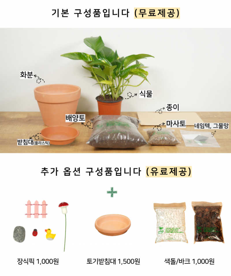 [원주] 플라워럼프 원예 체험키트 공기정화식물 화분 식물키우기 DIY 세트 - 강원곳간.com