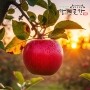 썸네일(스크롤)