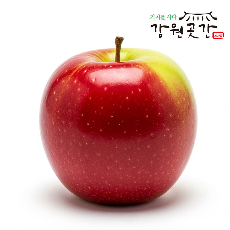 정선 백석폭포 맛성비 햇 사과(홍로,아리수,후브락스 부사) - 강원곳간.com